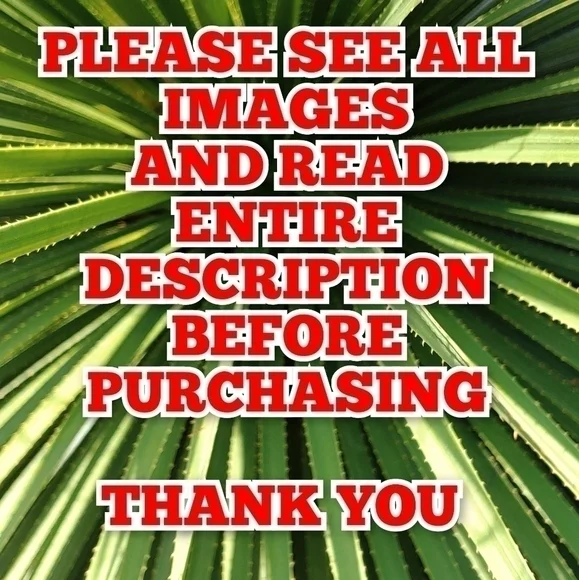 Cabi lace skirt - Picture 3 of 8